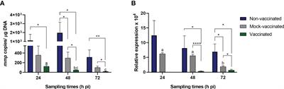 Immune response of DNA vaccinated-gilthead seabream (Sparus aurata) against LCDV-Sa infection: relevance of the inflammatory process